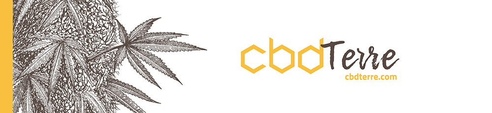 CBD Terre