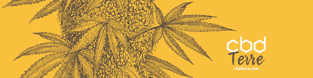 CBD Terre