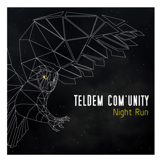 TDC Night run